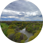 Google profile photo